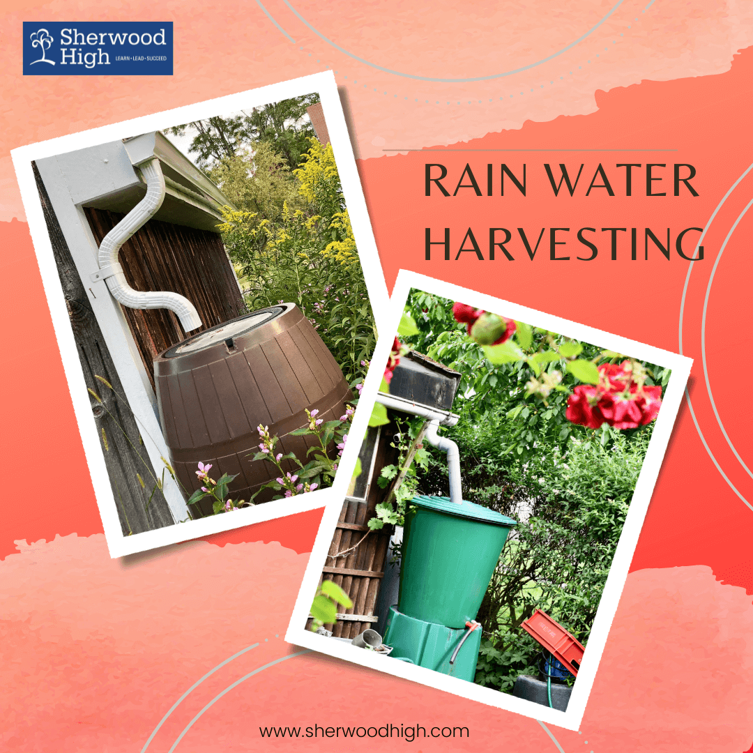 Rain Water Harvesting - Water conservation for children