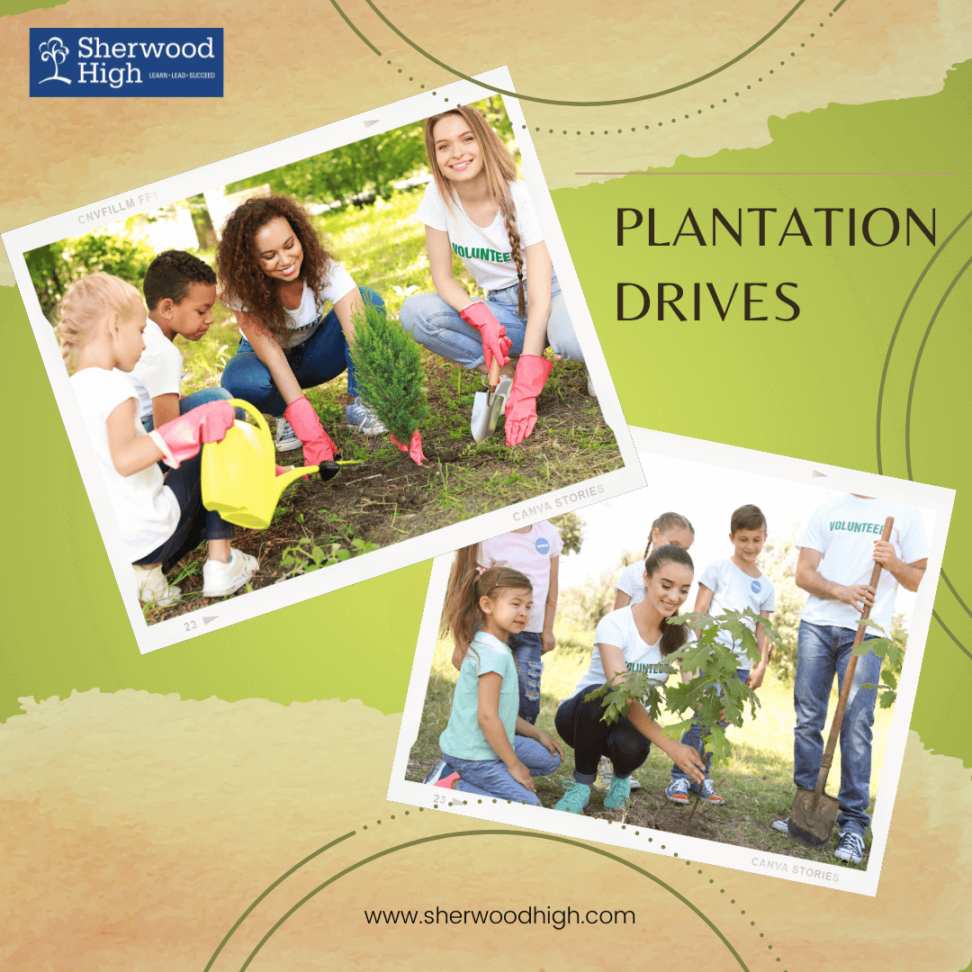 Plantation Drives - Water Conservation - Sherwood high Blog