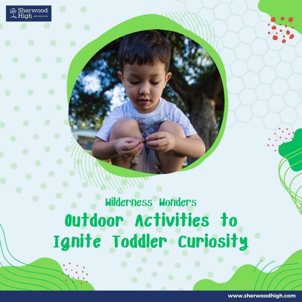 fun-filled-outdoor-adventures-toddler-friendly-activities-to-explore