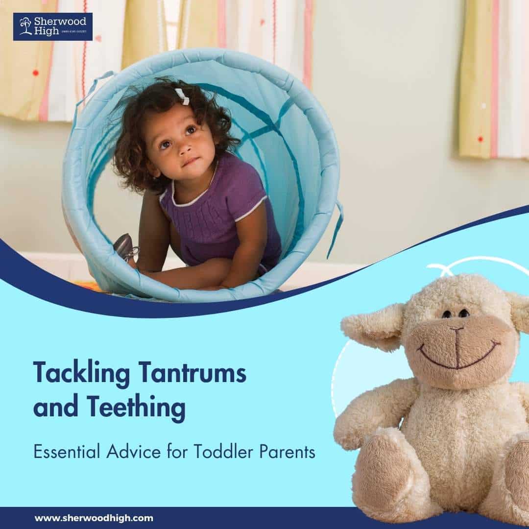 Tackling Tantrums and Teething - Sherwood High Blog